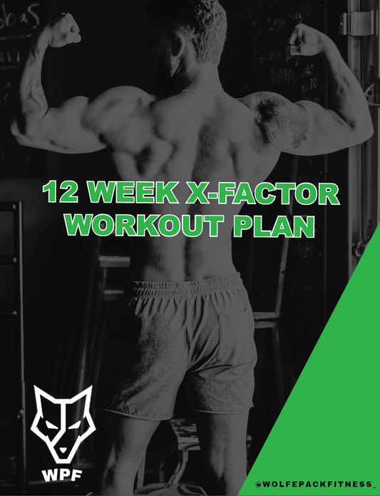 12 Week X-FACTOR Workout Plan